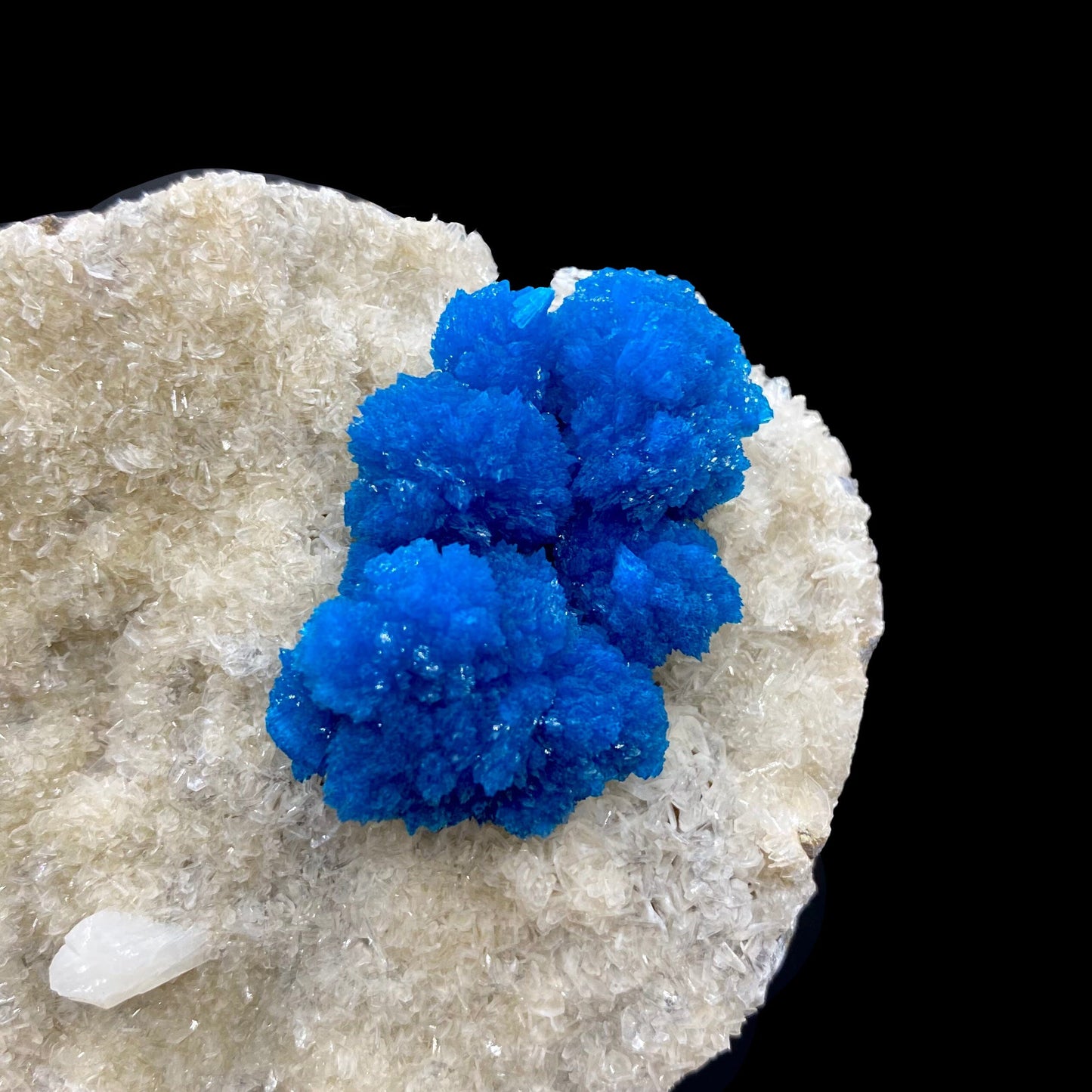 Rare Indian Cavansite Crystal Cluster with Stilbite on Heulandite Matrix – Pune, India DK171 Cavansite Superb Minerals 