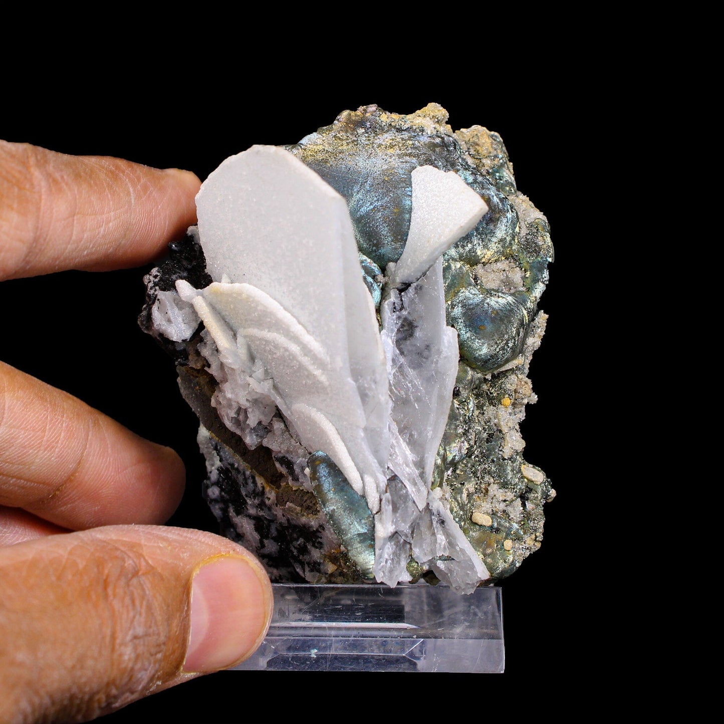 Rare Iridescent Pyrite with Calcite , Babingtonite – UV Reactive Collector Display Mineral Specimen from Mumbai # B 7163 Pyrite Superb Minerals 