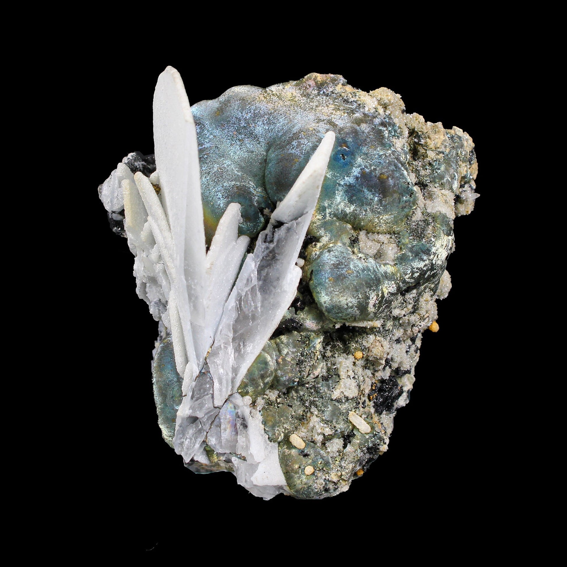 Rare Iridescent Pyrite with Calcite , Babingtonite – UV Reactive Collector Display Mineral Specimen from Mumbai # B 7163 Pyrite Superb Minerals 