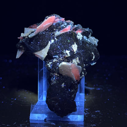 Rare Iridescent Pyrite with Calcite on Matrix – UV Reactive Collector Display Mineral Specimen from Mumbai # B 7161 Pyrite Superb Minerals 