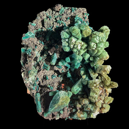 Rare Marshy Green Apophyllite Crystal Cluster from Jalgaon, India | Raw Natural Zeolite Mineral Specimen for Collectors # DKT4