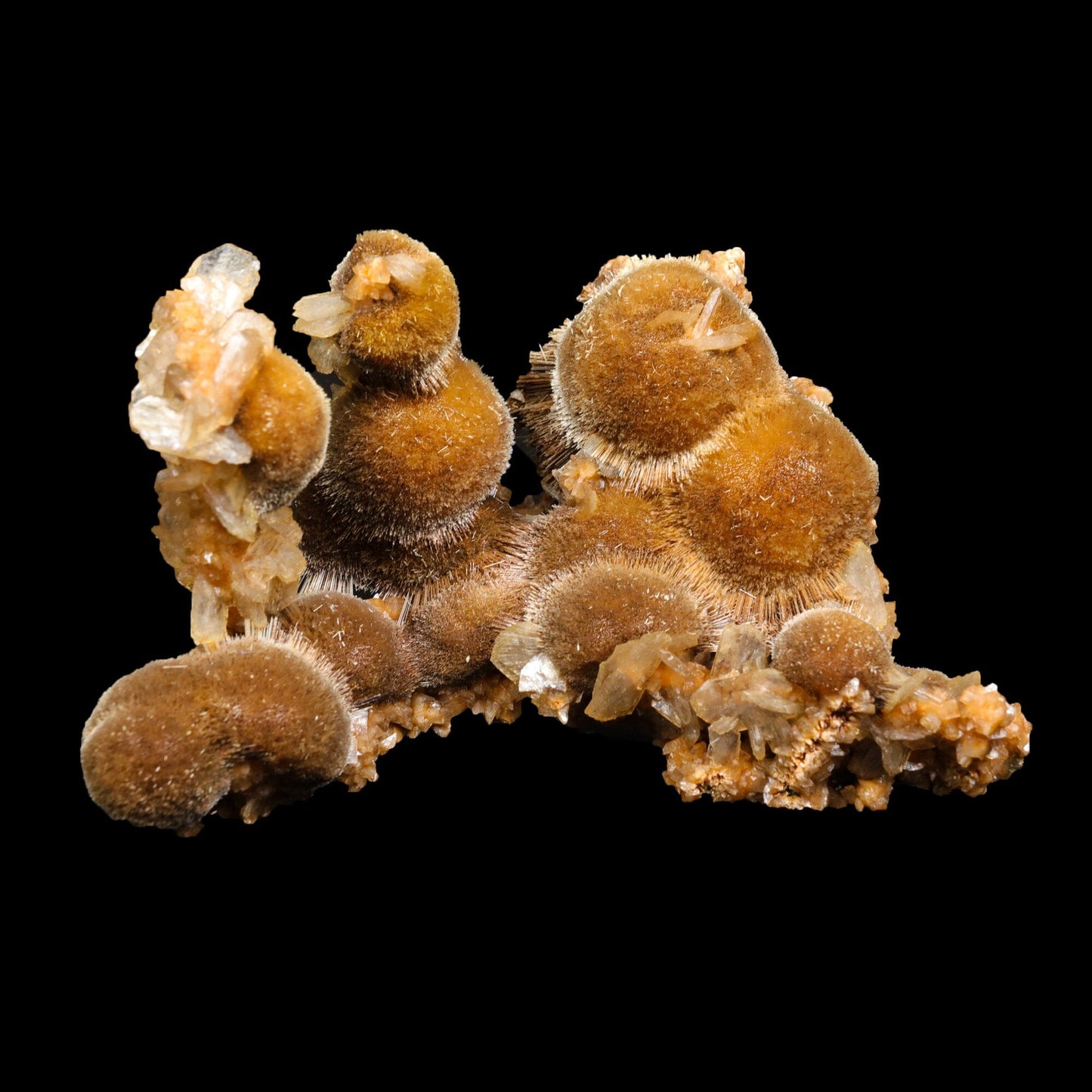 Rare New Find Brown Thomsonite  Natural Mineral Specimen # B 7076