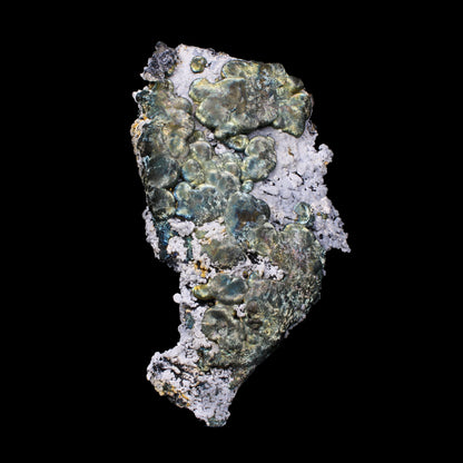 Rare New Find Iridescent Pyrite on Matrix with Babingtonite – Premium Natural Mineral Specimen from Mumbai # B 7153 Babingtonite Superb Minerals 