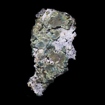 Rare New Find Iridescent Pyrite on Matrix with Babingtonite – Premium Natural Mineral Specimen from Mumbai # B 7153 Babingtonite Superb Minerals 