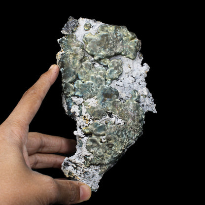 Rare New Find Iridescent Pyrite on Matrix with Babingtonite – Premium Natural Mineral Specimen from Mumbai # B 7153 Babingtonite Superb Minerals 