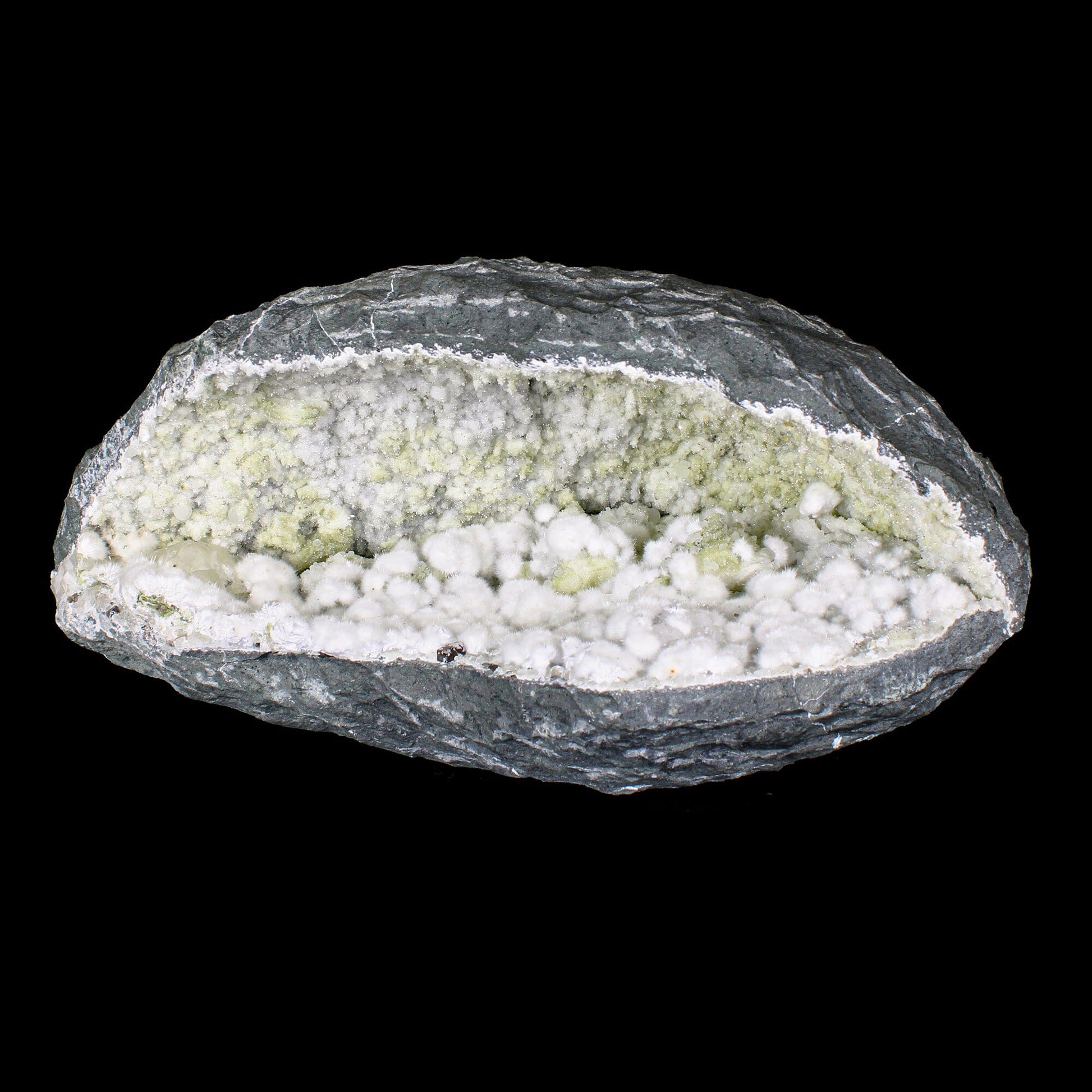 Rare Okenite Puffballs with Quartz & Chalcedony in Large Geode – Old School Mumbai, Natural Mineral Specimen# B 7175 Okenite Superb Minerals 