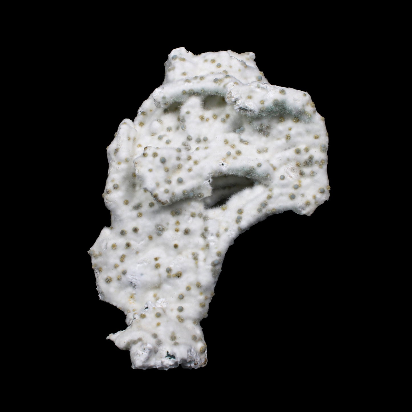 Rare Okenite with Chalcedony – Fibrous Indian Zeolite Mineral Specimen # G 7140 Okenite Superb Minerals 