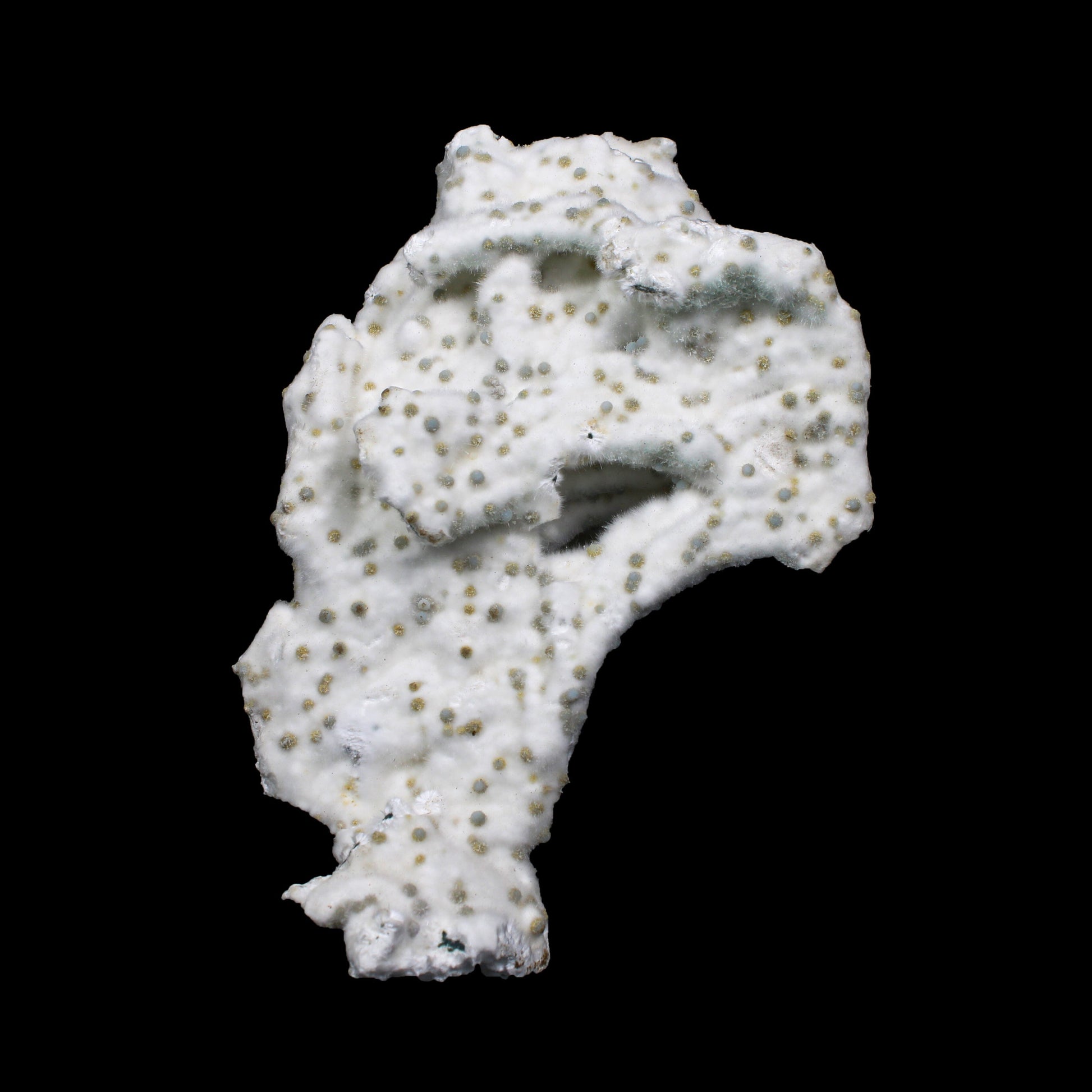 Rare Okenite with Chalcedony – Fibrous Indian Zeolite Mineral Specimen # G 7140 Okenite Superb Minerals 