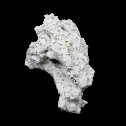 Rare Okenite with Chalcedony – Fibrous Indian Zeolite Mineral Specimen # G 7140 Okenite Superb Minerals 