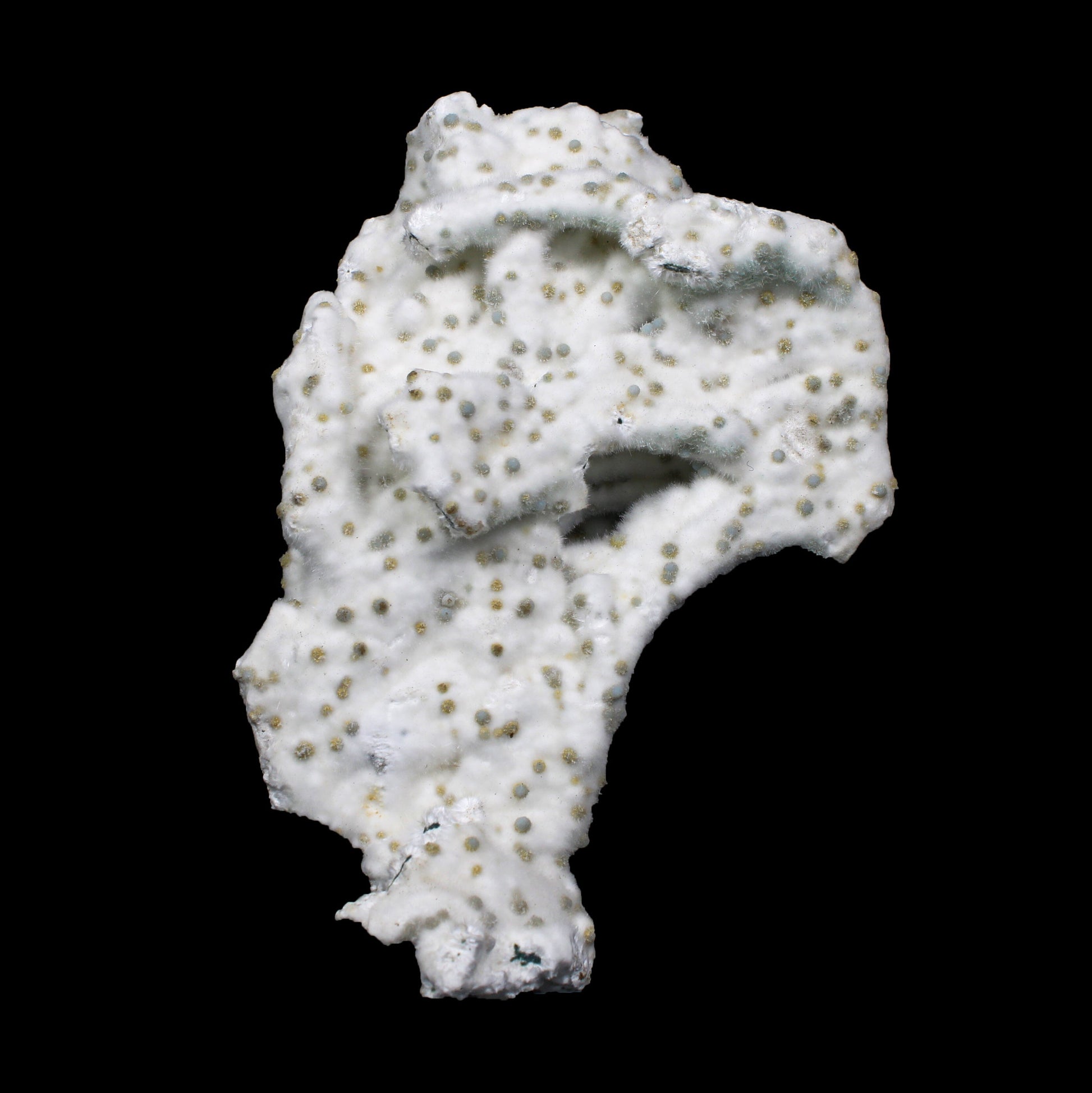 Rare Okenite with Chalcedony – Fibrous Indian Zeolite Mineral Specimen # G 7140 Okenite Superb Minerals 