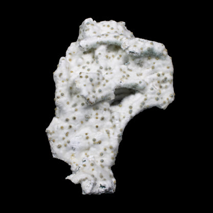 Rare Okenite with Chalcedony – Fibrous Indian Zeolite Mineral Specimen # G 7140 Okenite Superb Minerals 