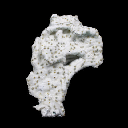 Rare Okenite with Chalcedony – Fibrous Indian Zeolite Mineral Specimen # G 7140 Okenite Superb Minerals 