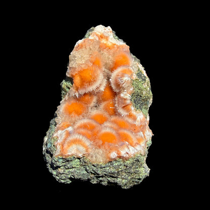 Rare Orange Thomsonite with Mesolite Natural Mineral Specimen from Madhya Pradesh, India DKT81 Thomsonite Superb Minerals 
