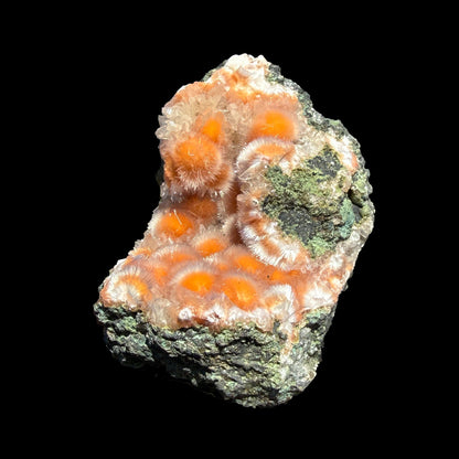 Rare Orange Thomsonite with Mesolite Natural Mineral Specimen from Madhya Pradesh, India DKT81 Thomsonite Superb Minerals 