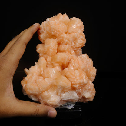 Rare Peach Stilbite Crystal Cluster – Premium Indian Zeolite Mineral Specimen # B 7081 Stilbite Superb Minerals 