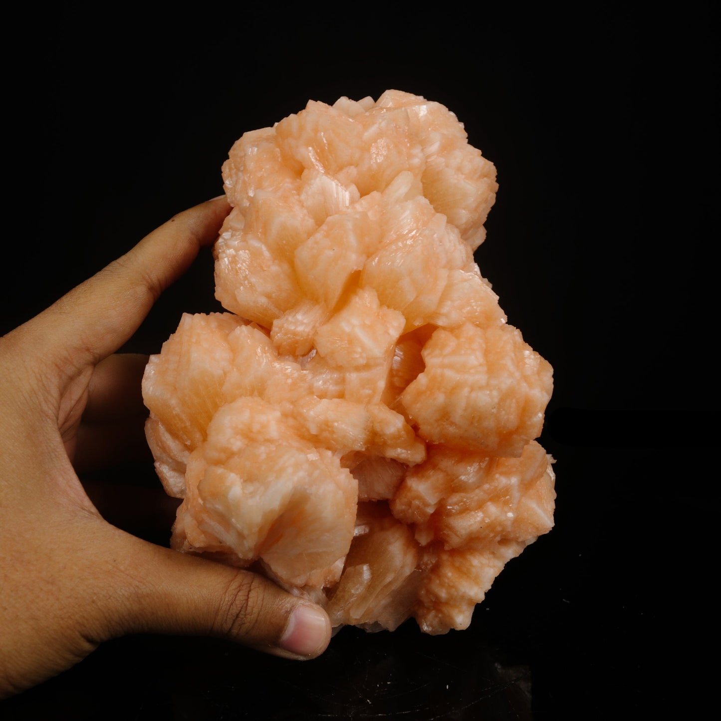 Rare Peach Stilbite Crystal Cluster – Premium Indian Zeolite Mineral Specimen # B 7081 Stilbite Superb Minerals 