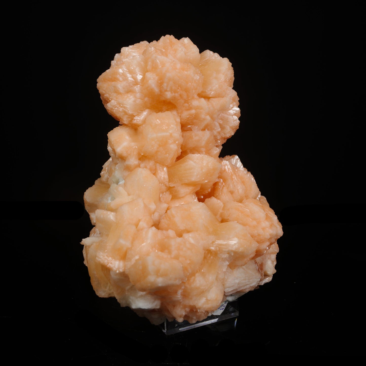 Rare Peach Stilbite Crystal Cluster – Premium Indian Zeolite Mineral Specimen # B 7081 Stilbite Superb Minerals 
