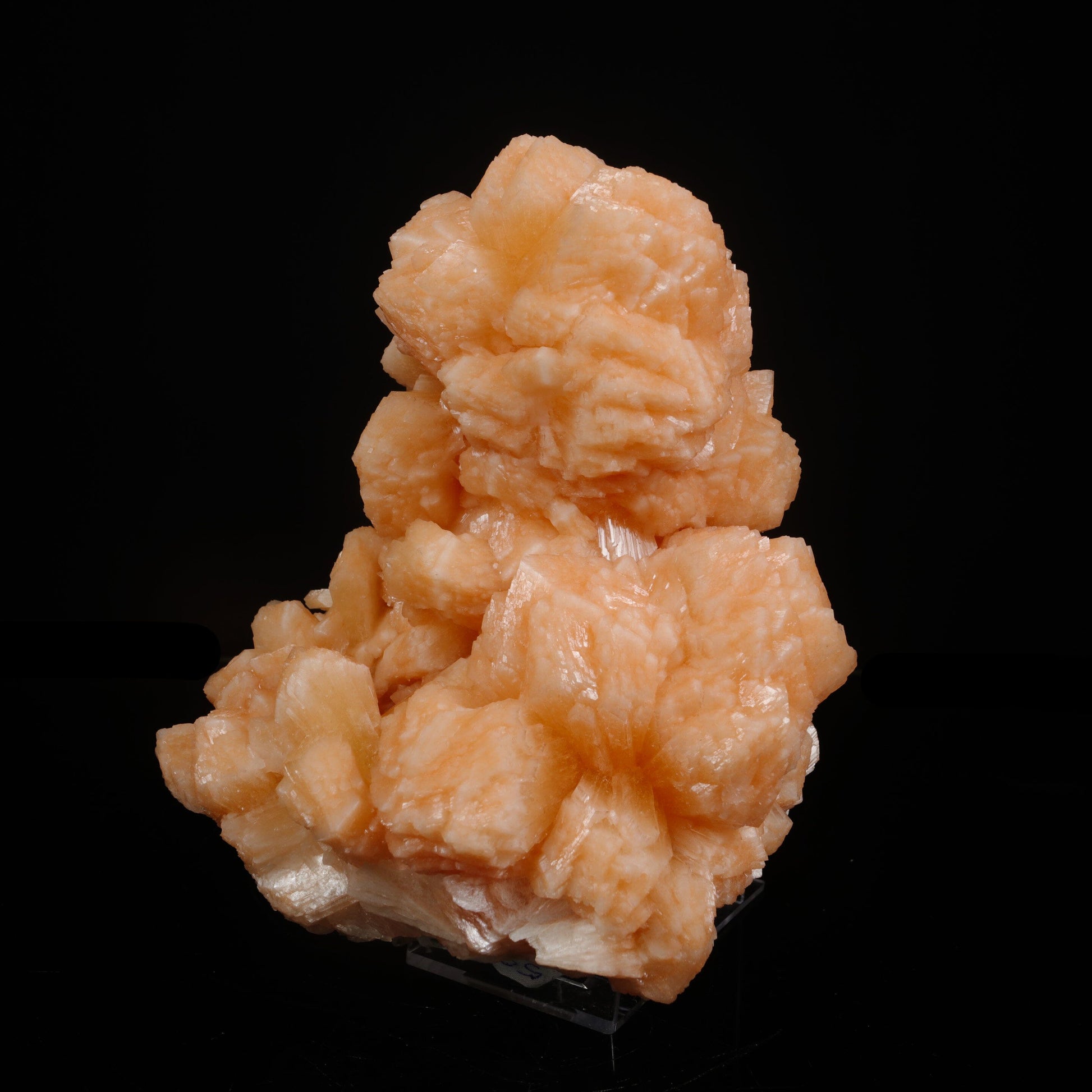 Rare Peach Stilbite Crystal Cluster – Premium Indian Zeolite Mineral Specimen # B 7081 Stilbite Superb Minerals 