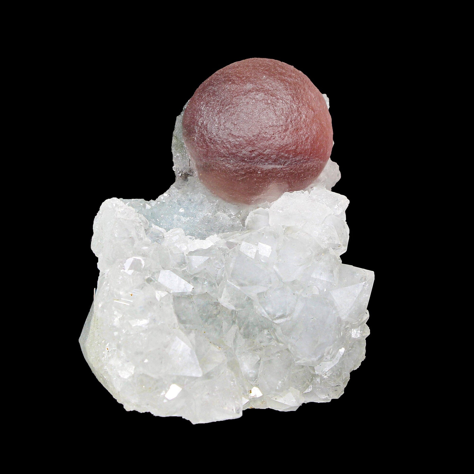 Rare Purple Botryoidal Fluorite on Quartz Natural Mineral Specimen from Madhya Pradesh # B 7172 fluorite Superb Minerals 