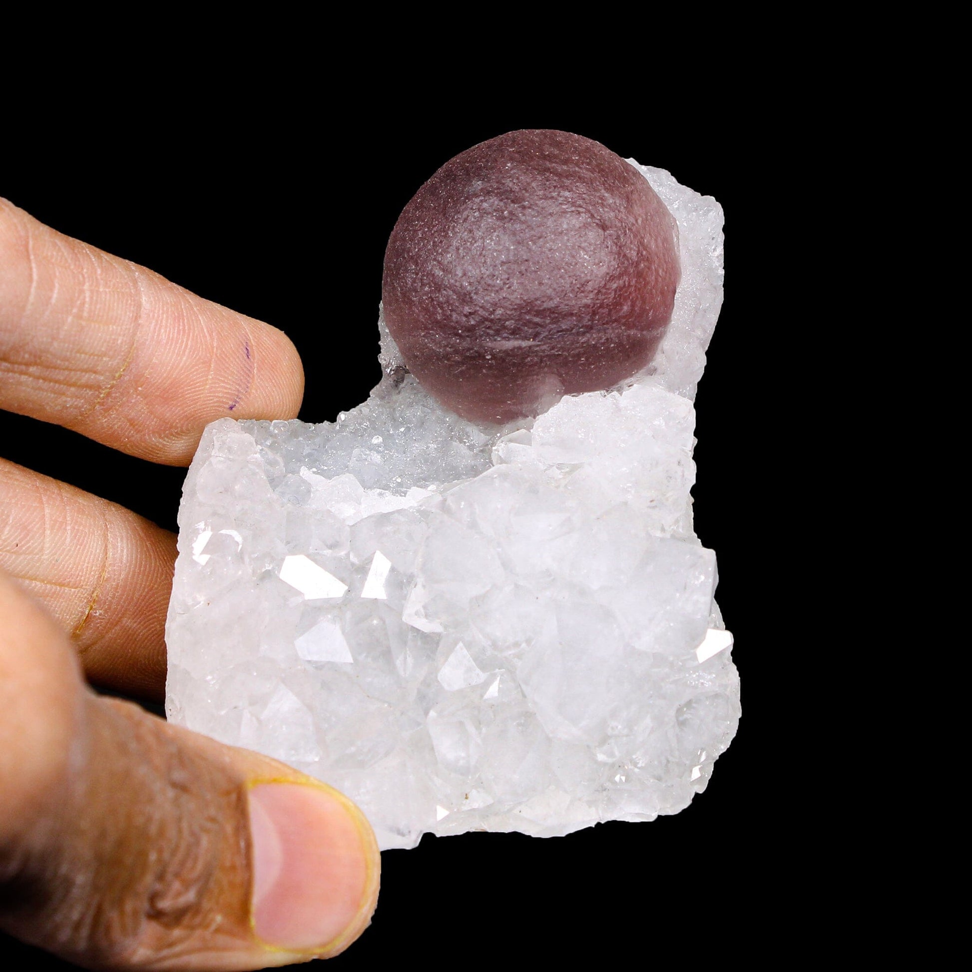 Rare Purple Botryoidal Fluorite on Quartz Natural Mineral Specimen from Madhya Pradesh # B 7172 fluorite Superb Minerals 