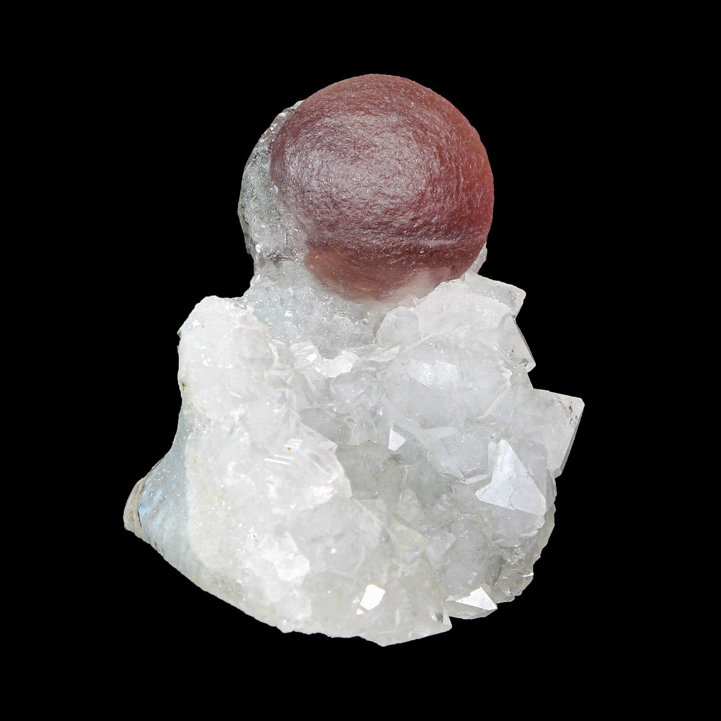 Rare Purple Botryoidal Fluorite on Quartz Natural Mineral Specimen from Madhya Pradesh # B 7172 fluorite Superb Minerals 