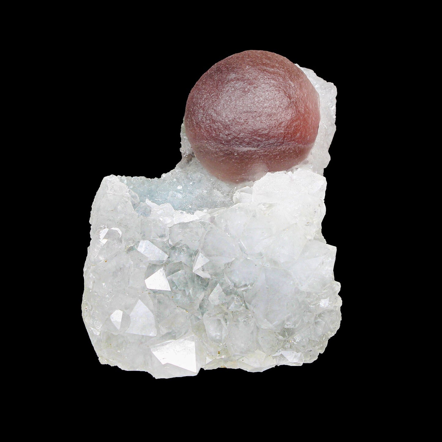 Rare Purple Botryoidal Fluorite on Quartz Natural Mineral Specimen from Madhya Pradesh # B 7172 fluorite Superb Minerals 