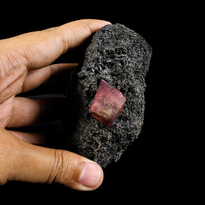 Rare Raspberry Calcite Fine Collector’s Cabinet Specimen from Madhya Pradesh, India # B 7386 Calcite Superb Minerals 