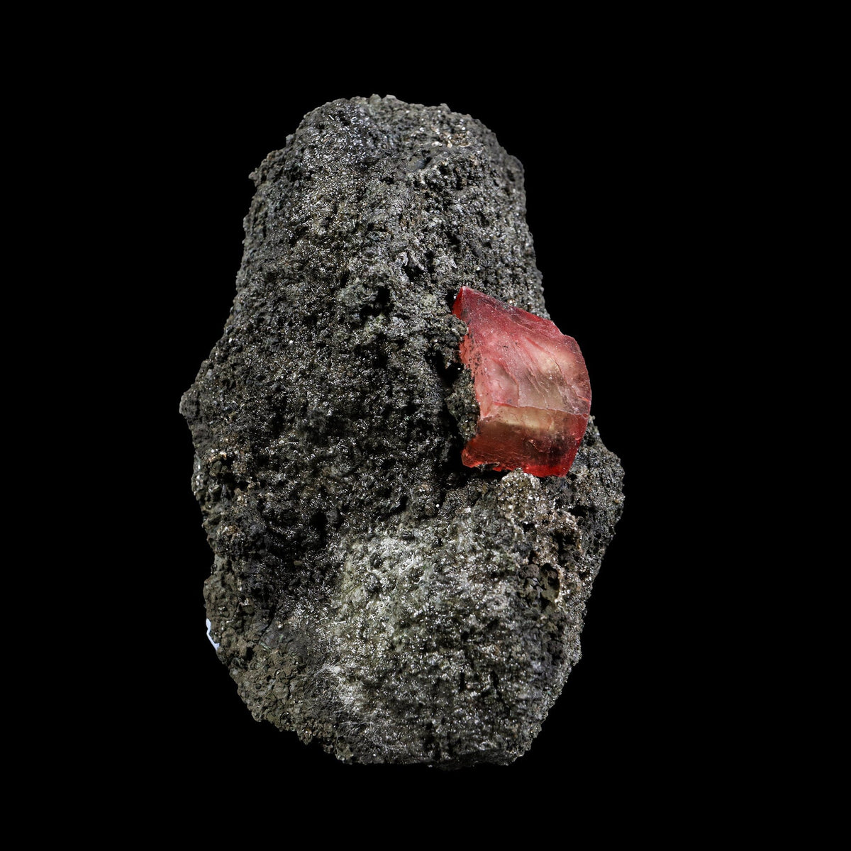 Rare Raspberry Calcite Fine Collector’s Cabinet Specimen from Madhya Pradesh, India # B 7386 Calcite Superb Minerals 