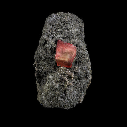 Rare Raspberry Calcite Fine Collector’s Cabinet Specimen from Madhya Pradesh, India # B 7386 Calcite Superb Minerals 