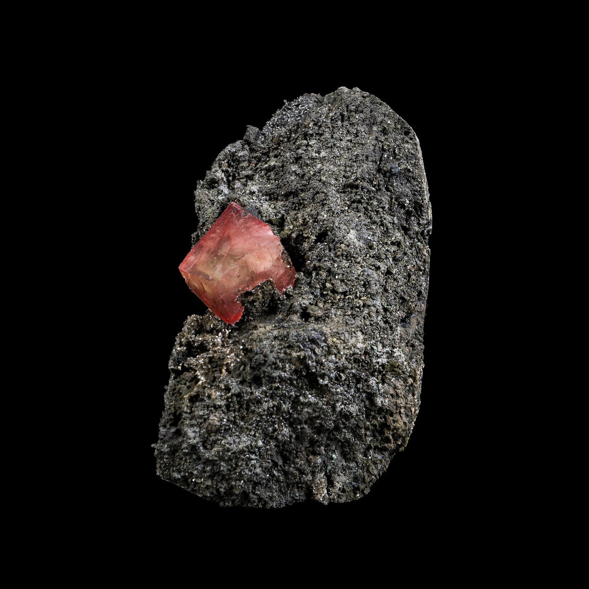Rare Raspberry Calcite Fine Collector’s Cabinet Specimen from Madhya Pradesh, India # B 7386 Calcite Superb Minerals 