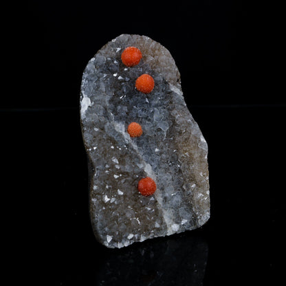 Rare Red Botryoidal Fluorite Spheres on Sparkling Quartz Matrix - Museum-Grade Specimen from Nashik, India # B 7208 Fluorite Superb Minerals 