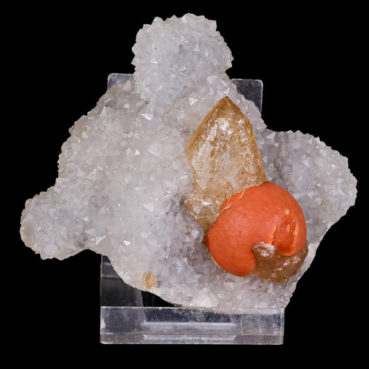 Rare Red Botryoidal Fluorite with Dog Tooth UV Calcite, Natural Mineral Specimen # B 6844 Fluorite Superb Minerals 