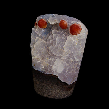 Rare Red Botryoidal Fluorites Natural mineral Specimen # B 6976 Fluorite Superb Minerals 