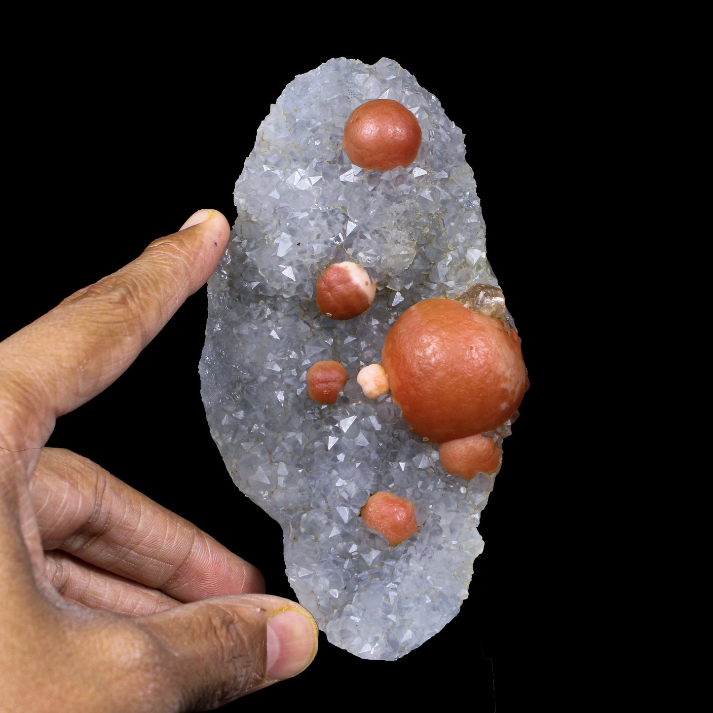 Rare Red Botryoidal Fluorites Natural mineral Specimen # B 7145 Fluorite Superb Minerals 