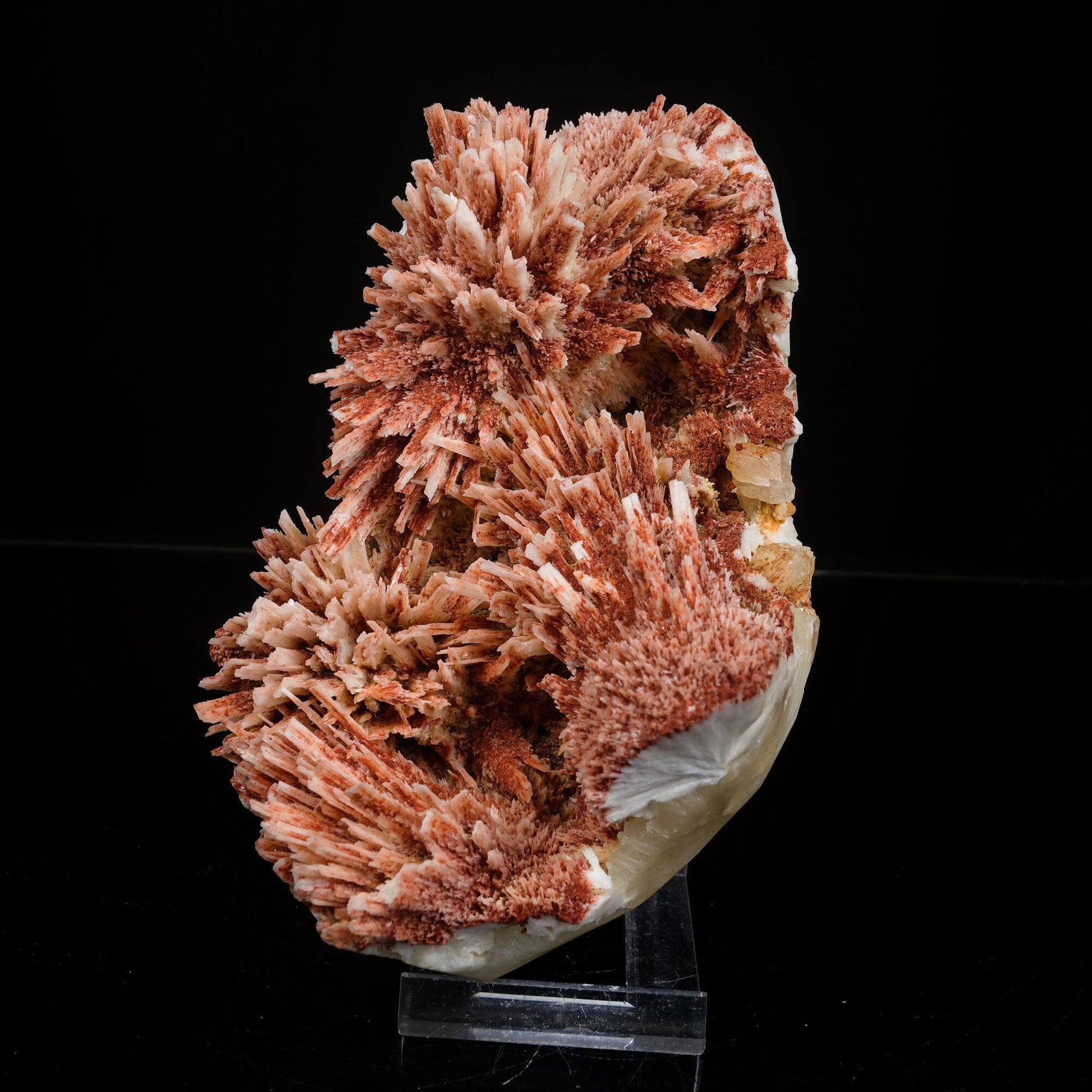 Rare Red Mordenite on Stilbite – Fibrous Zeolite Crystal Specimen # B 7107 Mordenite Superb Minerals 
