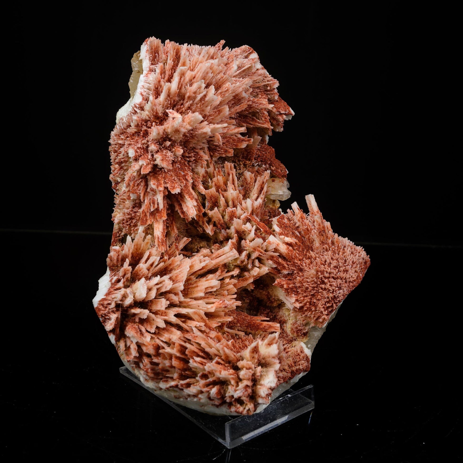 Rare Red Mordenite on Stilbite – Fibrous Zeolite Crystal Specimen # B 7107 Mordenite Superb Minerals 
