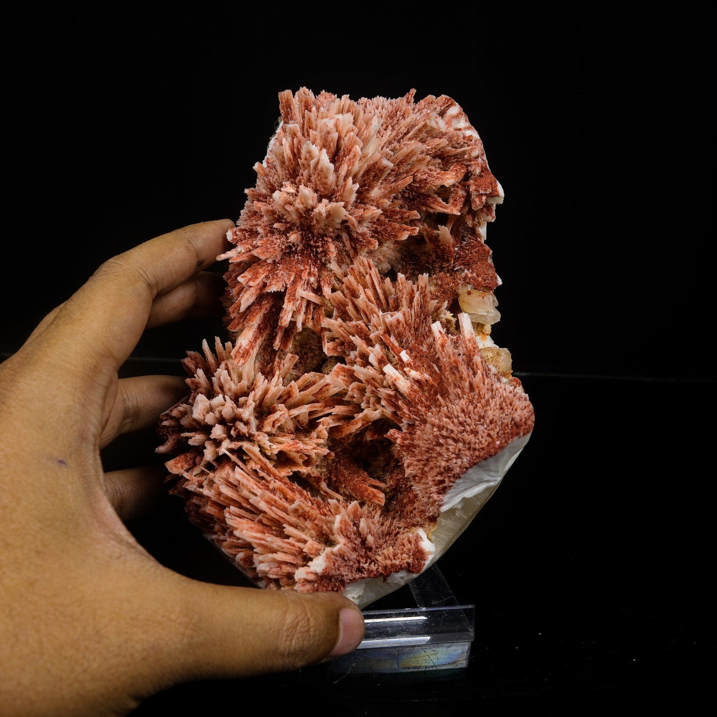 Rare Red Mordenite on Stilbite – Fibrous Zeolite Crystal Specimen # B 7107 Mordenite Superb Minerals 