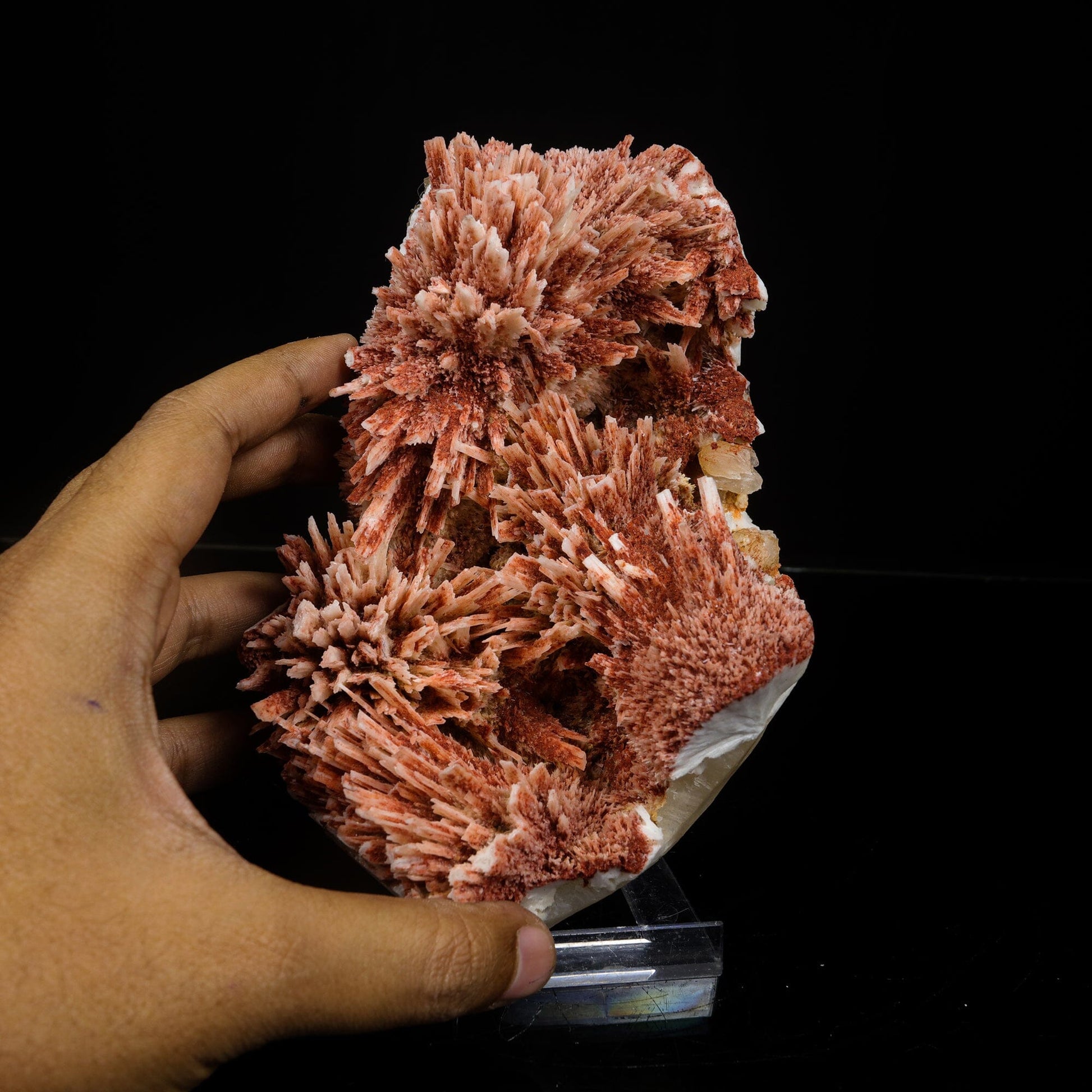 Rare Red Mordenite on Stilbite – Fibrous Zeolite Crystal Specimen # B 7107 Mordenite Superb Minerals 