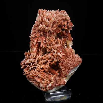 Rare Red Mordenite on Stilbite – Fibrous Zeolite Crystal Specimen # B 7107 Mordenite Superb Minerals 