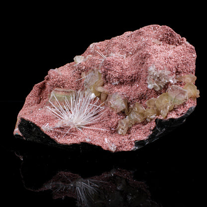 Rare Scolecite Spray with Green Apophyllite, Stilbite & Heulandite on Pink Matrix – Natural Indian Zeolite Specimen # B 7125 Scolecite Superb Minerals 
