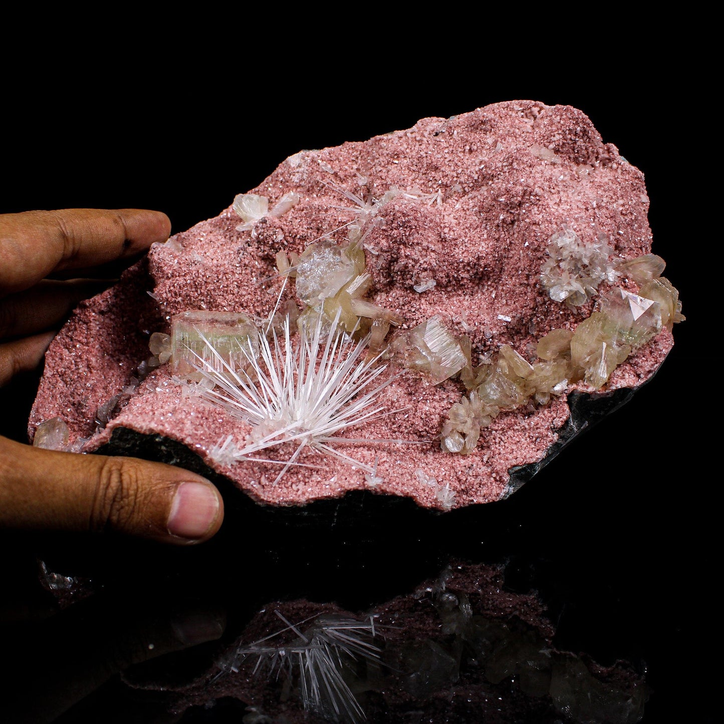 Rare Scolecite Spray with Green Apophyllite, Stilbite & Heulandite on Pink Matrix – Natural Indian Zeolite Specimen # B 7125 Scolecite Superb Minerals 