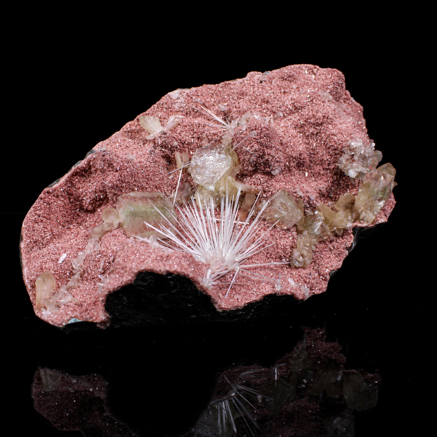 Rare Scolecite Spray with Green Apophyllite, Stilbite & Heulandite on Pink Matrix – Natural Indian Zeolite Specimen # B 7125 Scolecite Superb Minerals 