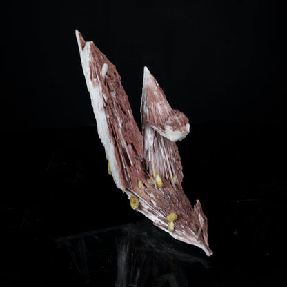 Rare Scolecite Spray with Red Hematite Inclusions & Calcite Crystals – Magnificent Indian Zeolite Mineral Specimen from Nashik # B 7226 Scolecite Superb Minerals 