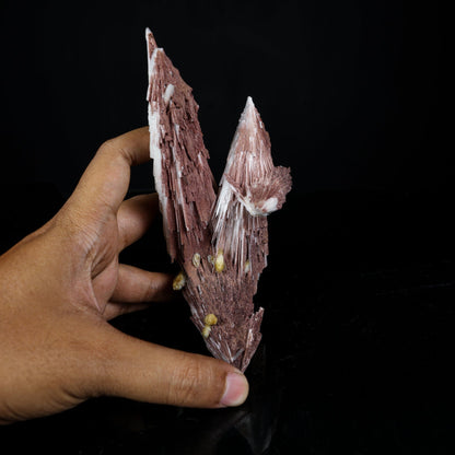 Rare Scolecite Spray with Red Hematite Inclusions & Calcite Crystals – Magnificent Indian Zeolite Mineral Specimen from Nashik # B 7226 Scolecite Superb Minerals 