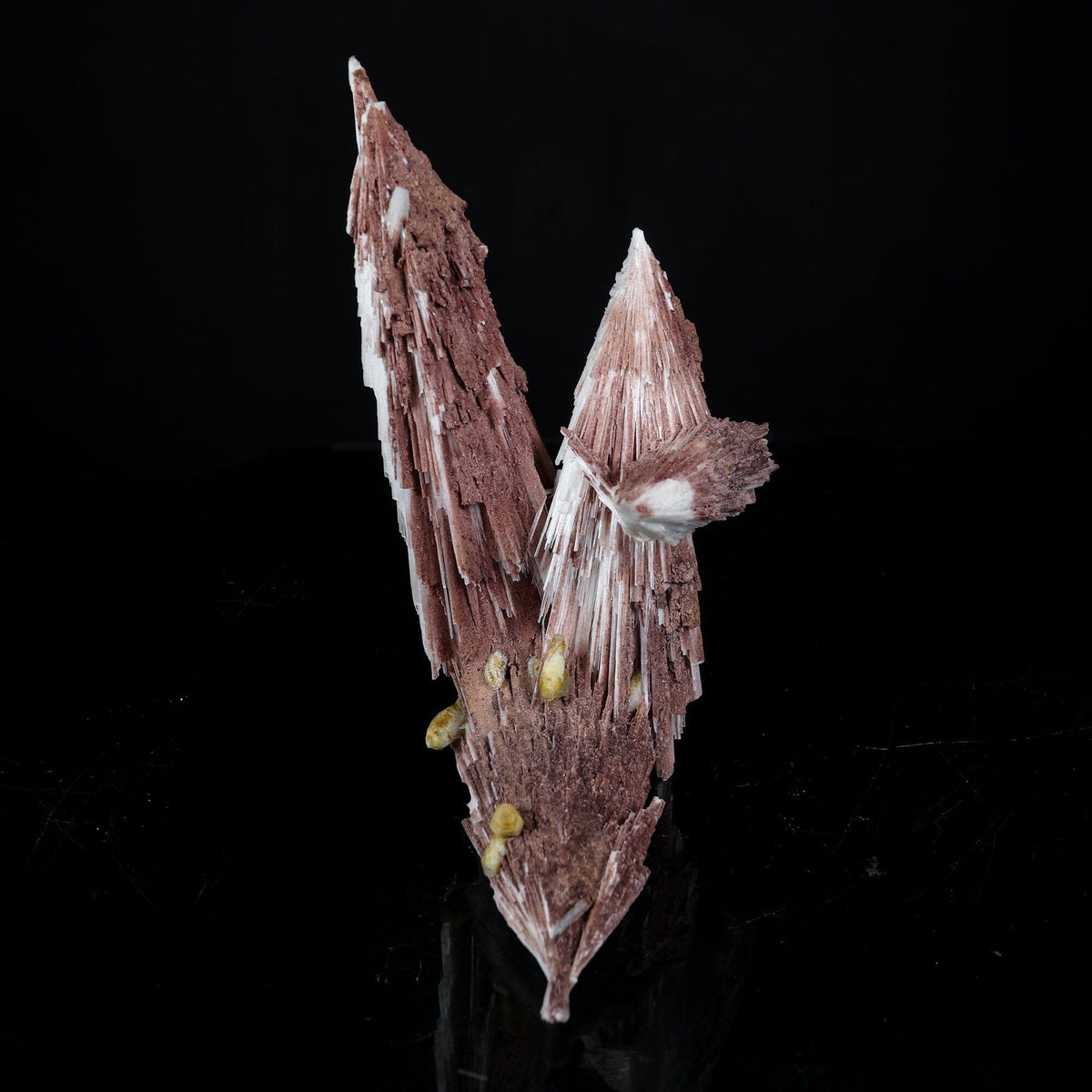 Rare Scolecite Spray with Red Hematite Inclusions & Calcite Crystals – Magnificent Indian Zeolite Mineral Specimen from Nashik # B 7226 Scolecite Superb Minerals 