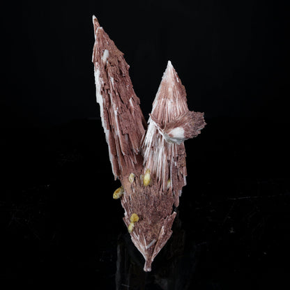 Rare Scolecite Spray with Red Hematite Inclusions & Calcite Crystals – Magnificent Indian Zeolite Mineral Specimen from Nashik # B 7226 Scolecite Superb Minerals 