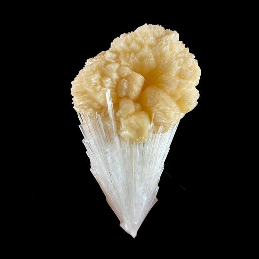 Rare Scolecite with Stilbite bow tie Specimen from Nashik, India # DKT8 Scoleccite Superb Minerals 