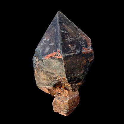 Rare Smoky Quartz Scepter Formation Natural Crystal Specimen from Karur, India – Large Raw Smoky Quartz Collector Mineral # DKT13 QUARTZ Superb Minerals 