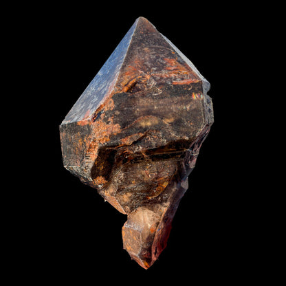 Rare Smoky Quartz Scepter Formation Natural Crystal Specimen from Karur, India – Large Raw Smoky Quartz Collector Mineral # DKT13 QUARTZ Superb Minerals 