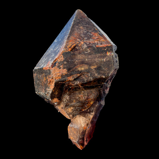 Rare Smoky Quartz Scepter Formation Natural Crystal Specimen from Karur, India – Large Raw Smoky Quartz Collector Mineral # DKT13 QUARTZ Superb Minerals 